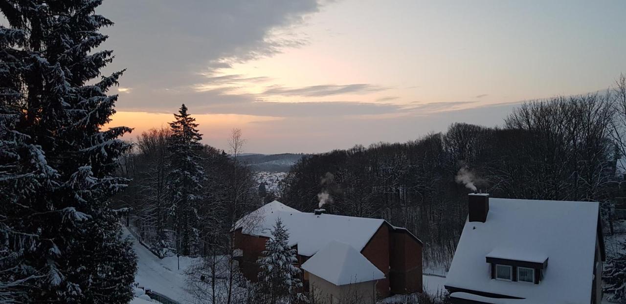 Panorama Hotel Pension Frohnau Бад Захса Екстериор снимка