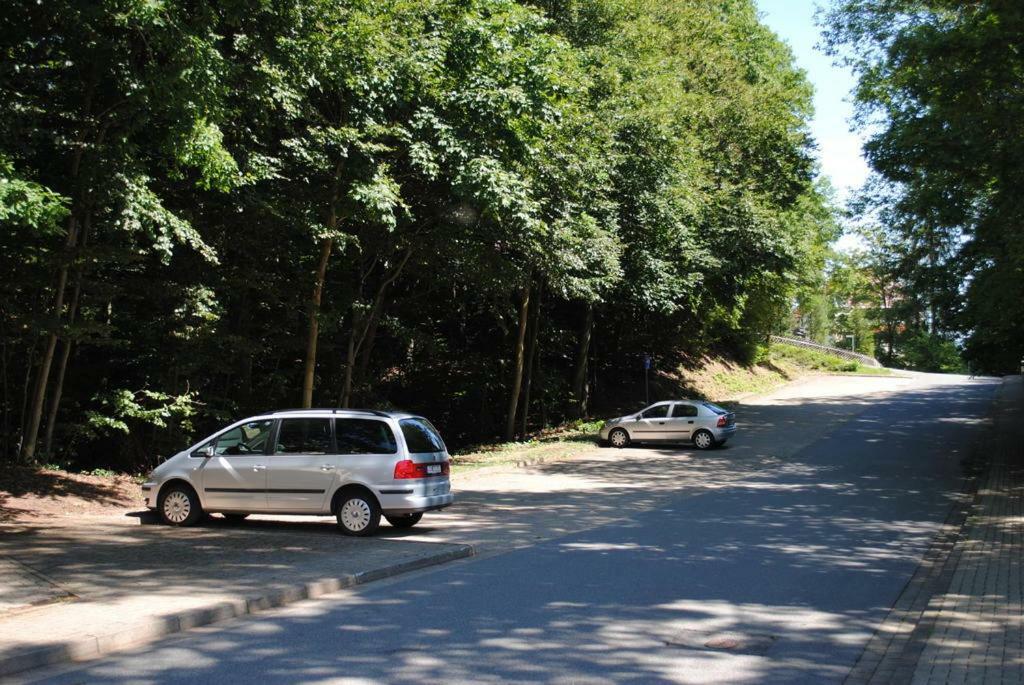 Panorama Hotel Pension Frohnau Бад Захса Екстериор снимка